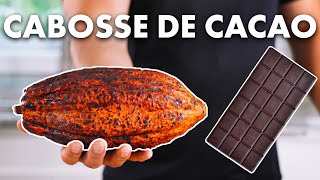 Quel Goût a Une Cabosse de Cacao 🍫 [upl. by Ennayk953]