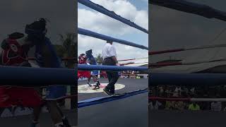 Female boxer battle in the ring LOLBrainRot comedy comedyfilms funny funny [upl. by Careaga]