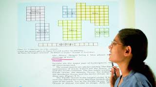 Class 6 Social Sciencepart2 Major Domains of the Earth Chapter 5 Explained NCERTgravityclasses66 [upl. by Enyamert]