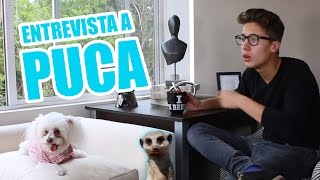 ENTREVISTA A PUCA ft Rix  Juanpa Zurita [upl. by Nivrae]