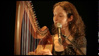 Celtic Harp Song with String Quartett quotShinequot keltische Harfe [upl. by Filahk]