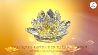 Goldener Lotus der Erleuchteten  Litios Weihnachtsedition 2024 [upl. by Bernadine]