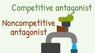 Competitive Antagonist vs Noncompetitive Antagonist [upl. by Lavery]