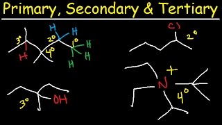 Primary Secondary Tertiary amp Quarternary Hydrogen and Carbon Atoms [upl. by Aihtela]