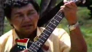 Musica Paraguaya  PolcaLos Carapegueños [upl. by Prudence]