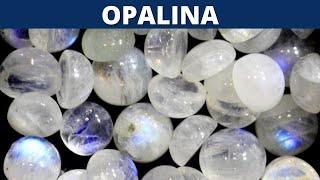 OPALINA PROPIEDADES BENEFICIOS Y USOS DE LA OPALINA [upl. by Cirdec]