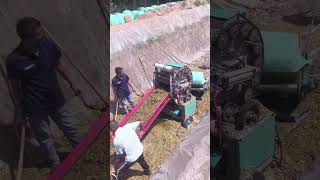 Silage feed baling process [upl. by Acilgna]