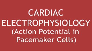 Cardiac Electrophysiology Action Potential in Pacemaker Cells ENGLISH  Dr Shikha Parmar [upl. by Intyrb]