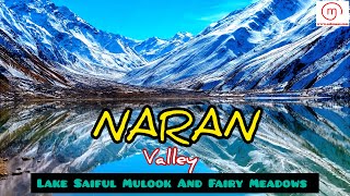 Naran Valley Trip  Lake Saif ul Mulook and Fairy Meadows  Snow in Naran [upl. by Valma297]