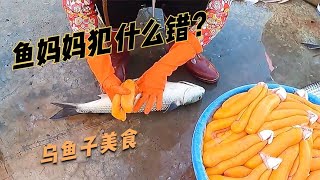 鱼妈妈到底犯了什么错它的孩子成了美食看看天价乌鱼子是如何制作 [upl. by Alberta589]