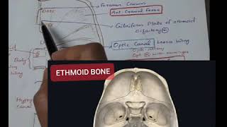 ANATOMY of HEAD amp NECK Med class 1 Superior view of skull base 3D animated images [upl. by Erika]