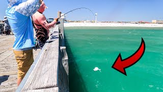 Jigging Pompano Off Florida Fishing Piers [upl. by Jodee776]