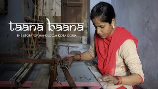 Taana Baana  The Story of Handloom Kota Doria [upl. by Navi71]