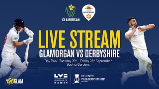 Glamorgan vs Derbyshire  LV County Championship  Day Two Live [upl. by Thirzi919]