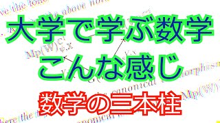 数学科で学ぶ数学の概観。大学ではこんな数学を学びます。数学の三本柱。 [upl. by Muirhead]