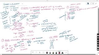 GENETIC TERMINOLOGY PRINCIPLES OF INHERITANCE amp VARIATION CLASS 12 NCERT [upl. by Hermia]