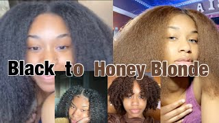 Dying My Natural Hair Honey Blonde WITHOUT BLEACH  HiColor [upl. by Eanrahs]