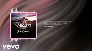 Juan Gabriel  Cuándo Volverás A México Audio [upl. by Alyakam]