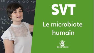 Le microbiote humain  SVT  Seconde  Les Bons Profs [upl. by Sigsmond]