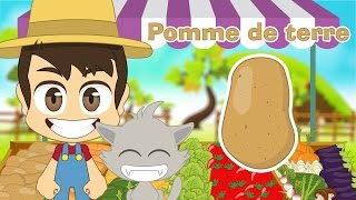 Vegetables in French for Kids – Learn Vegetables Names in French with Zakaria [upl. by Ahsieken]