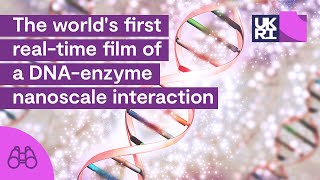 The worlds first realtime film of a DNAenzyme nanoscale interaction  Attacking a virus [upl. by Telocin]