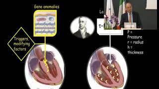 Hypertrophic cardiomyopathy and athletes heart APelliccia [upl. by Econah]