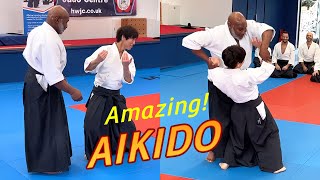 Amazing Aikido in the UK [upl. by Burny849]