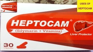 HEPTOCAM SilymarinVitaminCap For  Liver TonicFatty Liver Chronic Hepatitis amp Cirrhosis Liver [upl. by Jelks780]