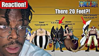 Blackbeard is THAT TALL ALL ONE PIECE CHARACTERS SIZE COMPARISON REACTION [upl. by Kaasi882]