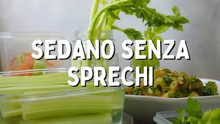 SEDANO come usare tutto il GAMBO anche esterno e FOGLIE  Cucino senza sprechi [upl. by Bakeman9]