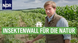 Landwirte schonen die Natur  über neue Wege der Agrarwirtschaft  Die Nordreportage  NDR [upl. by London]