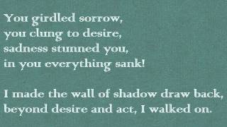 The Song of Despair by Pablo Neruda Poetry Reading [upl. by Tiphany]