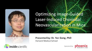 Optimizing ImageGuided LaserInduced Choroidal Neovascularization in Mice [upl. by Cally]