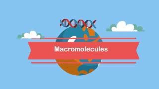 MacromoleculesA Beginners Guide [upl. by Naasah]