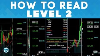 How to use Level 2 and Time amp Sales as a Momentum Day Trader [upl. by Xet179]