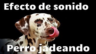 SONIDO DE PERRO JADEANDO cansado  Efecto de sonido [upl. by Airamahs]