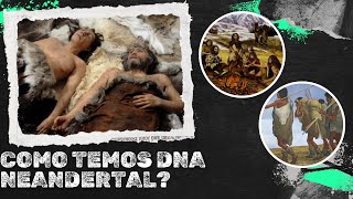 DNA NEANDERTAL  COMO OS SERES HUMANOS MODERNOS TEM DNA DOS NEANDERTAIS [upl. by Kordula]