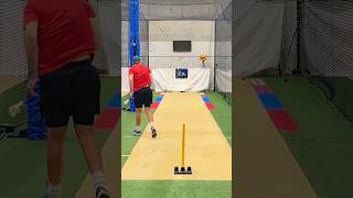 Sidearm speed amp target practice Not perfect but pretty good cricket [upl. by Gilbart]