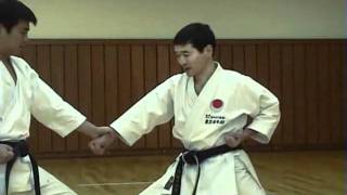 KATA  BUNKAI HEIAN SHODAN [upl. by Dlabihcra937]