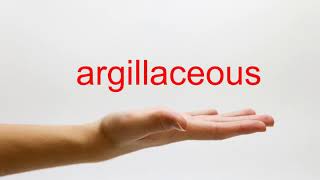 How to Pronounce argillaceous  American English [upl. by Hacissej]