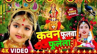 LIVE  न्यू भक्ति नानस्टॉप गाने  देवी गीत 2024  Bhakti Gana  Bhakti Song 2024  NonStop Devi Geet [upl. by Saxet]