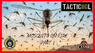 TACTICOOL MOSQUITO ON FIRE PART 1 [upl. by Ahon]