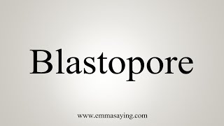 How To Say Blastopore [upl. by Sternick]