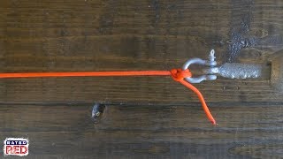 How to Tie an Anchor Hitch [upl. by Reld162]