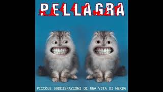 PELLAGRA  MESSO MALE [upl. by Golightly933]