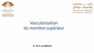 ANATOMIE FMPM VASCULARISATION DU MEMBRE SUPÉRIEUR [upl. by Nairda]