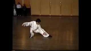 Master Kai Ying Tung performing Tai Chi Chuan traditionel ya [upl. by Ordnasela26]