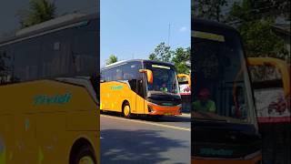 BIG BUS TIVIDI JETBUS 5 SG SASIS HINO NGEBUT MELAJU CEPAT 24 JAM shorts trending subscribe [upl. by Cristen]