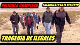 Tragedia de Ilegales 🎬 Película Completa en Español [upl. by Haberman]