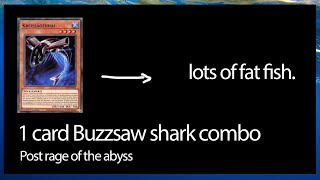 HUGE 1 card buzzsaw shark combos for plenty interruptions post support yugioh [upl. by Cagle]